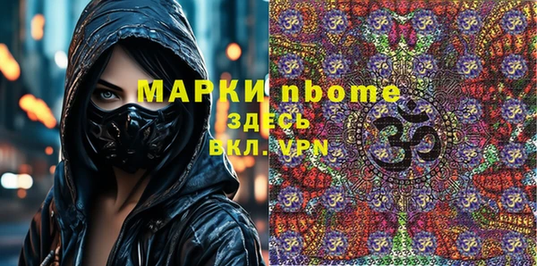 шишки Заводоуковск