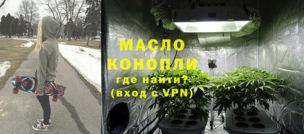 шишки Заводоуковск