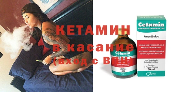 шишки Заводоуковск